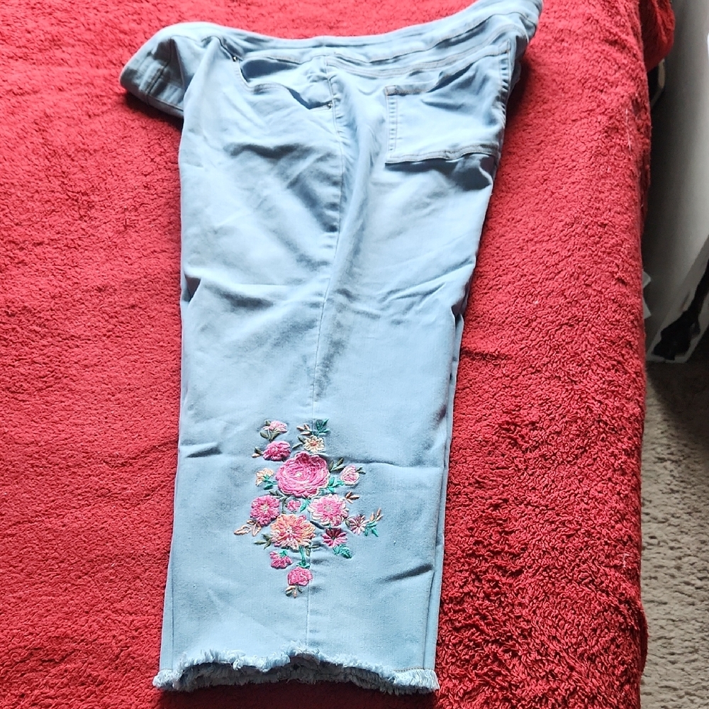 The Pioneer Woman Light Blue Cropped Jeans with Floral Embroidery